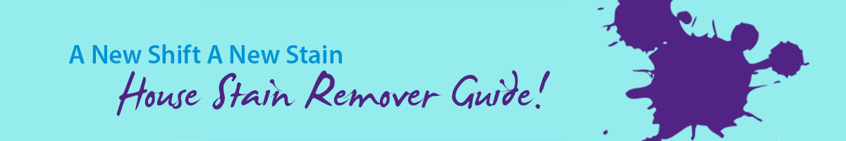 House stain remover guide_v2
